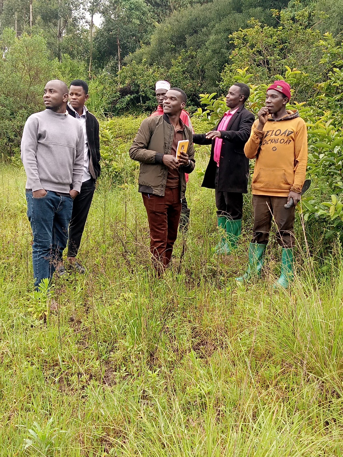 Sustainable farming practices